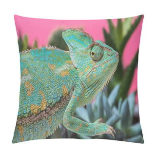 Personality  Side View Of Cute Chameleon On Succulents On Pink Pillow Covers