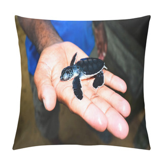 Personality  Small Sea Turtle On Hand In Kosgoda, Sri Lanka Pillow Covers