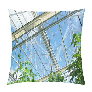 Personality  Greenhouse Pillow Covers