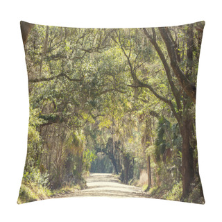 Personality  Alley In Summer Park Pillow Covers