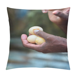 Personality  Sea Turtle Eggs On Hand At Kosgoda, Sri Lanka Pillow Covers
