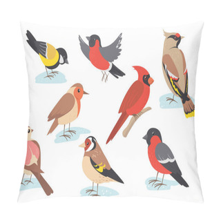 Personality  Snowy Time Winter Birds Flying Or Holding Branch. Colorful Bullfinch, Sparrow, Tit, Thrush Set Isolated On White. Vector Illustration For Nature, Wildlife, Snow Season Concept Pillow Covers