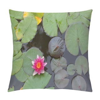 Personality  Star Lotus (Nymphaea Nouchali), Also Known As The White Water Lily.  Pillow Covers