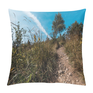 Personality  Low Angle View Of Trees Near Rocks On Walkway  Pillow Covers
