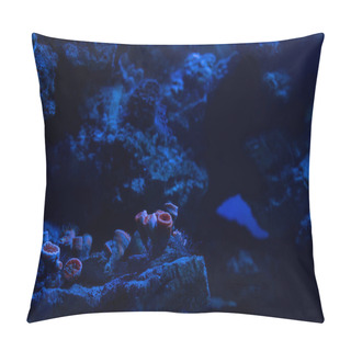 Personality  Corals Under Water In Dark Aquarium With Blue Lighting Pillow Covers
