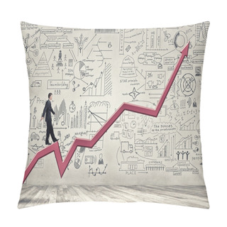 Personality  Plan For Income Rise Pillow Covers