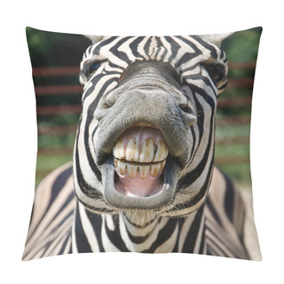 Personality  Funny Zebra Pillow Covers