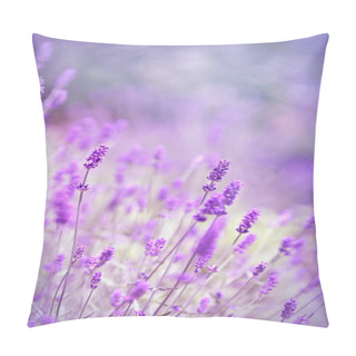 Personality  Lavender Flower Pillow Covers