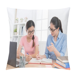 Personality  Home Tutor Woman Teaching Young Female Student Pillow Covers