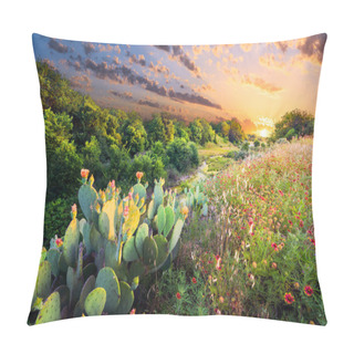 Personality  Flowering Cactus And Indian Blanket Wildflowers At Sunset In Texas Pillow Covers