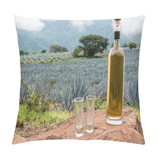 Personality  Landscape Of Planting Of Agave Plants To Produce Tequila. Tequila Bottle On Big Stones. Panoramic View Pillow Covers