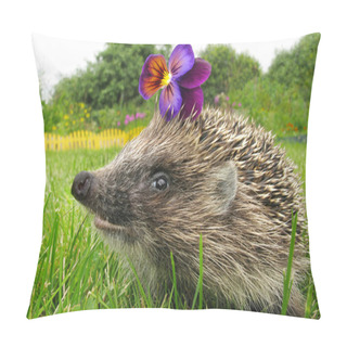 Personality  Smiling Flower Thief Hedgehog Pillow Covers