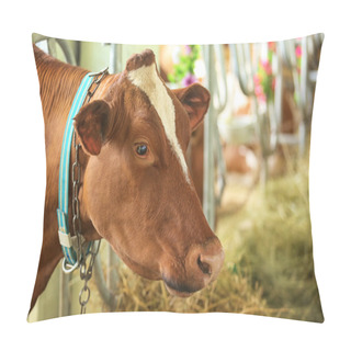 Personality  Cow In Corral Pillow Covers