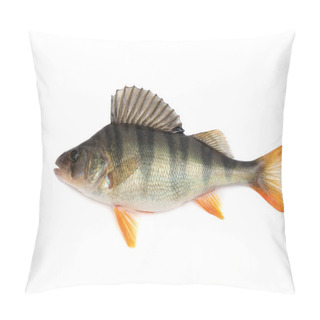 Personality  Fish Perch Pillow Covers