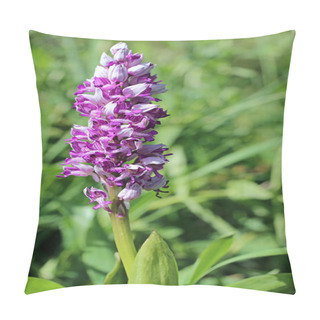 Personality  Helmknabenkraut Orchis Militaris At The Liliental Site Near You In The Kaiserstuhl Pillow Covers