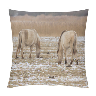 Personality  Grazing Konik Horses Pillow Covers