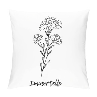 Personality  Immortelle. Ayurveda. Natural Herbs. Ayurvedic Herbs, Medicines. Herbal Illustration. A Medicinal Plant. The Style Of Doodles. Medicines For Health From Plants.  Pillow Covers