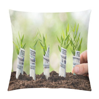 Personality  Person Planting Money Plants Pillow Covers