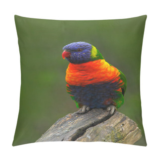 Personality  Colourful Parrot Sitting On The Branch Pillow Covers