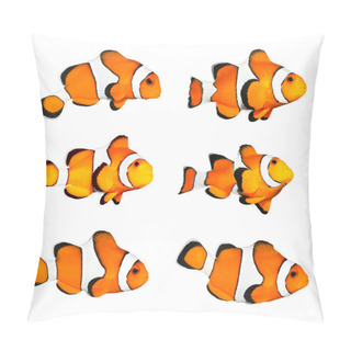Personality  The Clownfish (Amphiprion Ocellaris). Pillow Covers