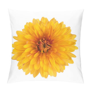 Personality  Yellow Chrysanthemum Flower Pillow Covers