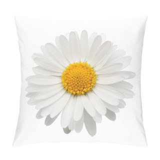 Personality  Beautiful Flower Daisy Pillow Covers