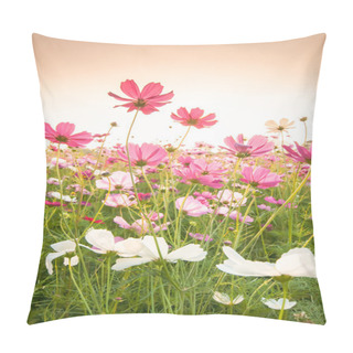 Personality Cosmos Flowers In Sunset Pillow Covers