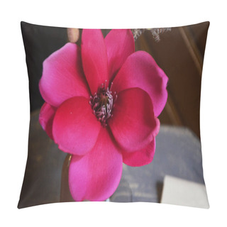 Personality  Natural Pink Flowers Close Up View Pillow Covers