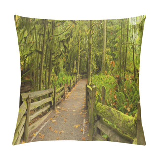 Personality  Path Through Lush Rainforest, Cathedral Grove, Vancouver Island, Pillow Covers