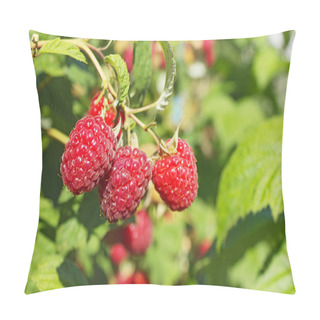 Personality  Bright Juicy Raspberries On The Branch Pillow Covers