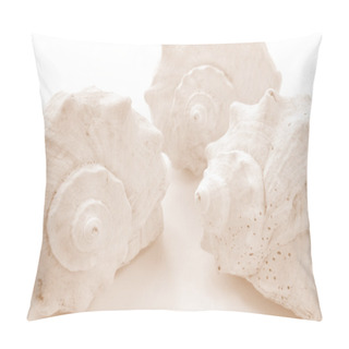 Personality  Isolated Shells On White. Closeup Pillow Covers