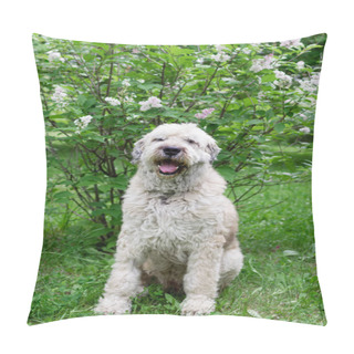Personality  South Russian Shepherd Dog For A Walk In A Summer Park On A Background Of Lilac Bushes. Pillow Covers