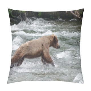 Personality  Large Brown Bear Fishing For Salmon In A River Pillow Covers