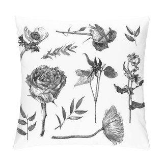 Personality   Vector Illustration With Set Of Clematis, Anemone, Oxypetalum Coeruleum, Hybrid Tea Rose, Branches And Leaves Drawn By Hand Pillow Covers