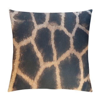 Personality  Giraffe Skin Pillow Covers