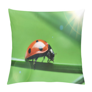 Personality  Ladybug On Grass Pillow Covers