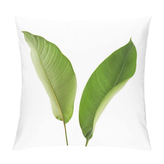 Personality  Strelitzia Reginae, Heliconia, Tropical Leaf, Bird Of Paradise Foliage Isolated On White Background, With Clipping Path  Pillow Covers