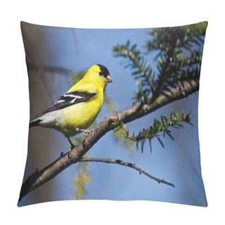 Personality  Male Goldfinch Perched In A Tree Pillow Covers