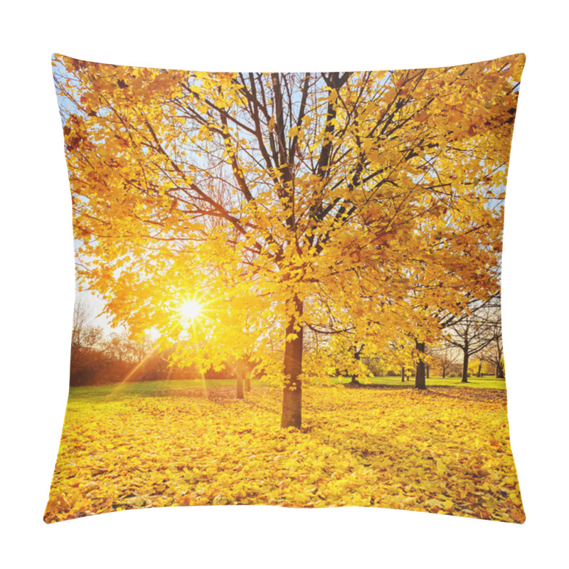 Personality  Sunny autumn foliage pillow covers
