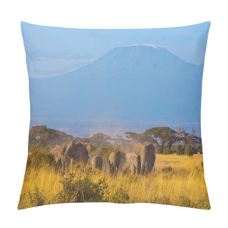 Personality  Kilimanjaro Elephants #2 Pillow Covers