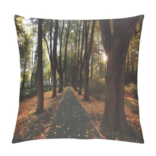 Personality  Path Autumn Park / Autumn Landscape, Yellow Park In Autumn Trees And Leaves, A Beautiful Sunny Day In The City Park. The Fall Pillow Covers