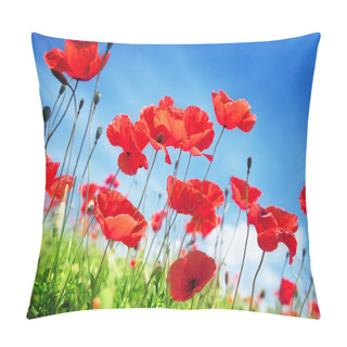 Personality  Poppy Flowers On Field And Sunny Day Pillow Covers