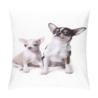 Personality  Two Chihuahua Dogs Pillow Covers