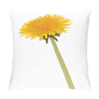 Personality  Dandelion On White Background Pillow Covers