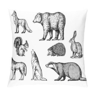 Personality  Forest Animals. Fox, Bear, Squirrel, Wolf, Badger, Hedgehog, Hare, Rabbit, Bunny. Pillow Covers