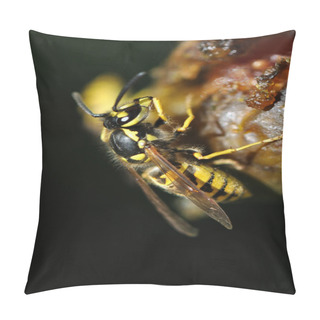 Personality  Wasp On A Fruit Pillow Covers