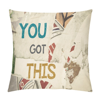 Personality  Inspirational Message - You Got This Pillow Covers