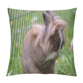 Personality  A Selective Focus Shot Of A Cute Little Bunny Pillow Covers