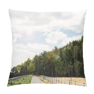 Personality  Sunshine On Green Park With Trees And Bushes In Summer Pillow Covers