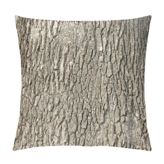 Personality  Tree Bark Close Up. Ash Bark Close Up. Bark Of An Old Giant Ash Tree. Tree Bark Textures And Patterns Pillow Covers